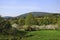 Apple blossom, blossom in the public fruit estate Baden-Baden Lichtental, with a view of Battert Rock