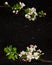 Apple blossom branches on Star Galaxy granite countertop