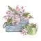 Apple blossoms with buds and leaves in a wooden, gray box with a green watering can. Gentle, summer, watercolor