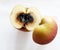 Apple (Browning) The core is shriveled and black (Moldy Core) The obvious black fungus (Core Rot)