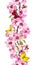 Apple, cherry pink flowers, spring butterflies. Seamless floral stripe frame. Botanical watercolour painted border