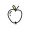 Apple clipart doodle. Vector illustration in line style.