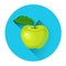 Apple Colorful Fruit Icon