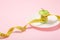 Apple core with measuring tape in place of the waist on a white plate on a pink background. Diet, weigh loss, starvation, fitness