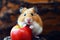 Apple delight: small hamster\\\'s nutritional snacking