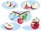 Apple in different portions. Whole, grows on a tree, half and slice. In minimalist style. Flat isometric vector