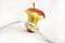 Apple eaten with meter represents the concept of anorexia