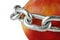 Apple encased in metal chain