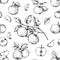 Apple engraving pattern. Seamless hand drawn print with organic garden fruits. Orchard crop. Juicy pieces. Plant