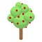 Apple farm tree icon, isometric style