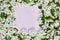 Apple flowers on pastel pink background. There is an empty space for text or logo. View from top. Gorizontal frame