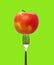 Apple fork healthy lifestyle organic food isolated
