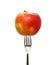 Apple fork healthy lifestyle organic food isolated