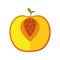 Apple fresh delicious half fruit isolated style icon