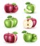 Apple Fresh Ripe Red and Green 3D Realistic Set