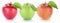 Apple fruit apples fresh fruits in a row red green isolated on w