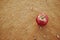 An apple fruit on a dry arid desert soil. Global water crisis, hunger, food security and drought concept.