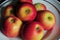 Apple fruit in plate in Kastrup Copenhagen Denmark