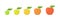 Apple fruit ripeness stages chart. Colour and size, scale gradation set plant. From green to red gradient. Animation period