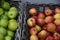 Apple fruit for sale in Copenhagen denmarK