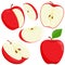 Apple fruit vector set. Set of apples and sliced apples. Vector illustration