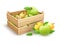 Apple fruits garden harvest in wooden box