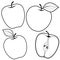 Apple fruits on white background. Vector illustrations with whole and cut fruits. Vector black and white coloring page.