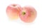Apple fuji fruit with water drops