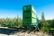 Apple garden with automated machine for harvesting