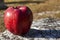 Apple on a gravestone