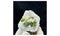 Apple Gren Sphene titanite jpg image specimen From Skardu Pakistan