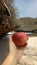 Apple in Greweng beach