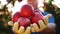 apple harvest. close-up. Farmer holds in his hands some red, freshly picked, ripe apples, on backdrop of orchard, in the