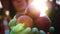 apple harvest. close-up. Female farmer holds in hands some red, freshly picked, ripe apples, on backdrop of orchard, in