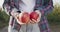 Apple harvest time. Cropped shot of woman gardener bringing fresh organic ripe fruit to camera, going in garden