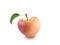 Apple heart shape in white background, Fruits help nourish the heart, Heart symbol apple isolated