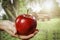 An apple held in female hands. Blurred apple trees in garden background. Empty spacer for your decoration and products.