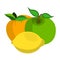 Apple, Lemon, Peach Icon. Food label, logo for Web and Banners. Cartoon Vector Illustration