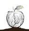 Apple look like tree branches with nest and birds, eco fruit on the white background idea, real nature product, take