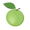 Apple. One green apple fruit.