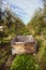 Apple orchard in Autumn time with fruit crates ready for harvest.