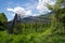 Apple orchard in springtime covered with protective black netting