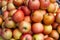 Apple. Organic fruit with drops. Food background