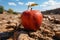 Apple on parched desert ground conveys food insecurity, water shortage, agricultural crisis