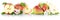 Apple and pear apples pears fruit red fruits slice isolated on w