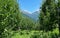 Apple plantation in front of snowy mountains -  Parvati Valley a holiday destination in the Indian state of Himachal Pradesh