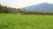 Apple Plantation With Village In Italian Alps Valleys