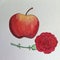 Apple and red flower pen and ink drawing