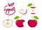 Apple set. Flat icon red Apple fruit with leaf, bitten, cut, core, label. Farmer Market Logo. Organic food eco template