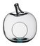 Apple Shaped Glass Bowl